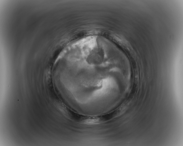 X0000086760369200704271735