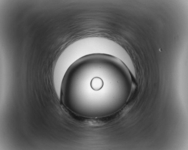 X0000086760372200704271735