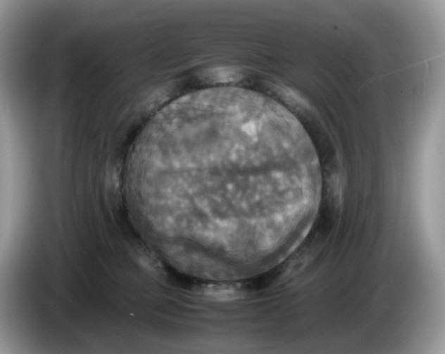 X0000086760373200704271735