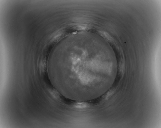 X0000086760376200704271735