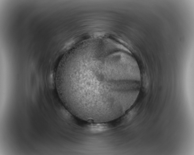 X0000086760378200704271735