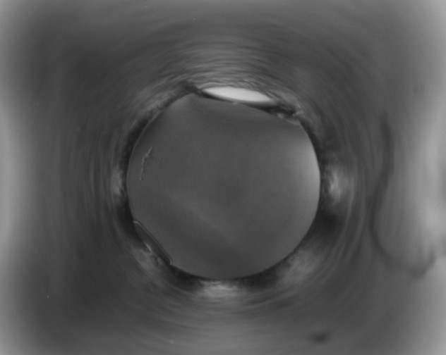 X0000086760380200704271735