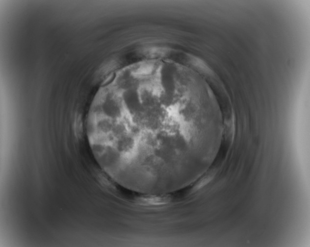 X0000086760381200704271735