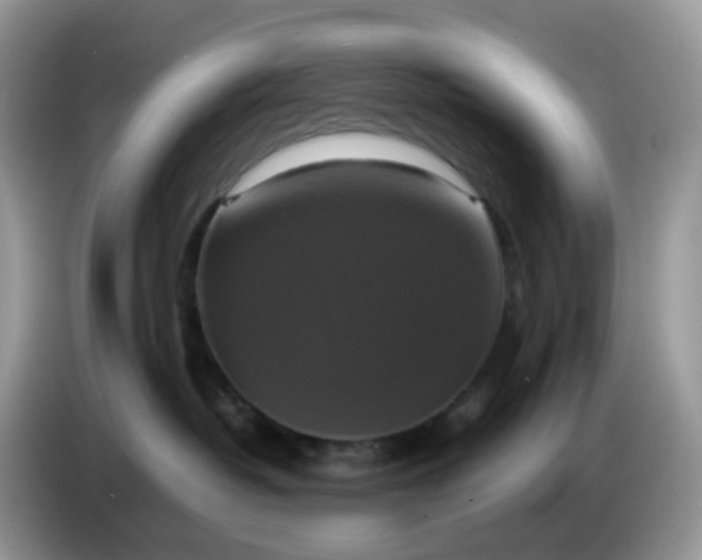 X0000086760382200704271735