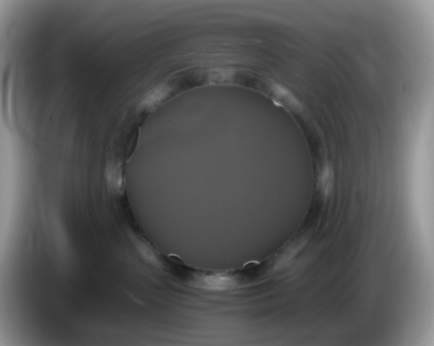 X0000086760383200704271735