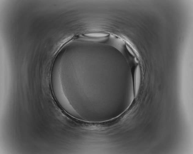 X0000086760385200704271734