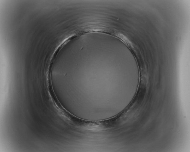 X0000086760386200704271734