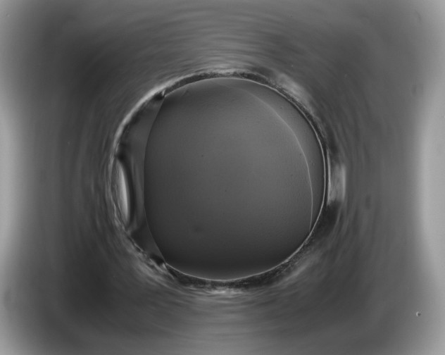 X0000086760387200704271734