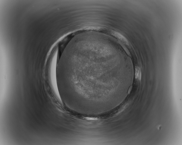 X0000086760388200704271734