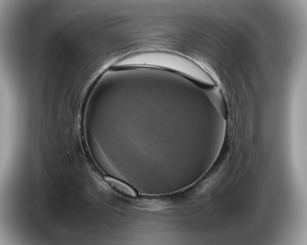 X0000086760389200704271734