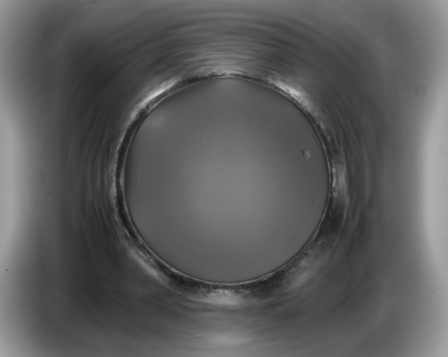 X0000086760390200704271734