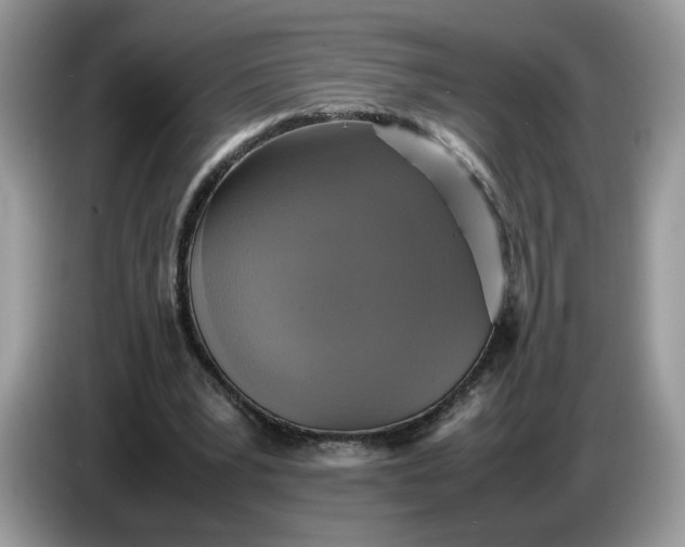 X0000086760391200704271734