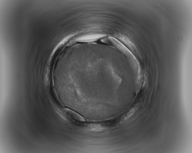 X0000086760392200704271734