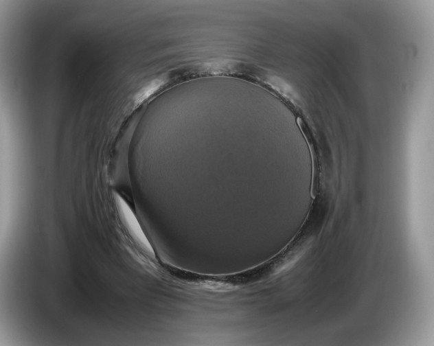 X0000086760393200704271734