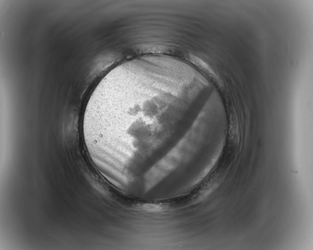 X0000086760394200704271734