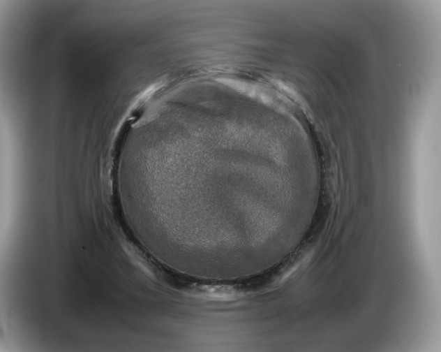 X0000086760395200704271734