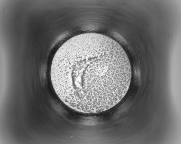 X0000086760396200704271734