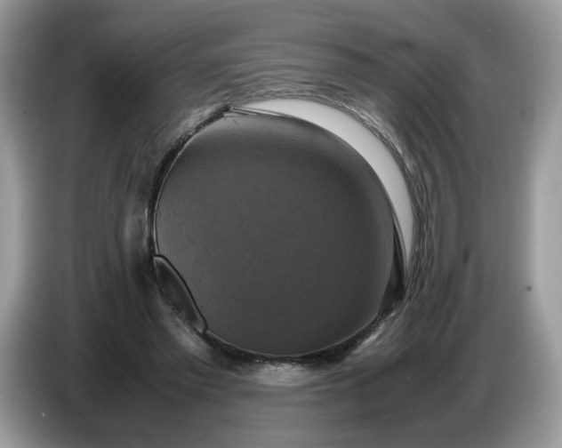 X0000086760397200704271734