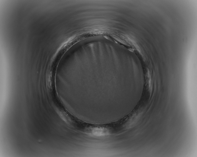 X0000086760400200704271734