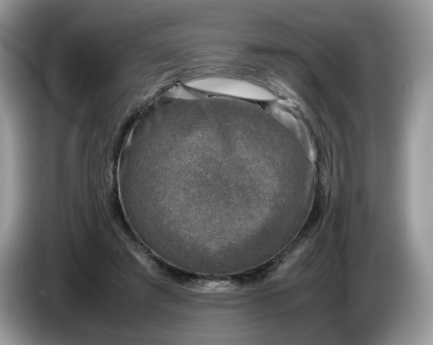 X0000086760401200704271734