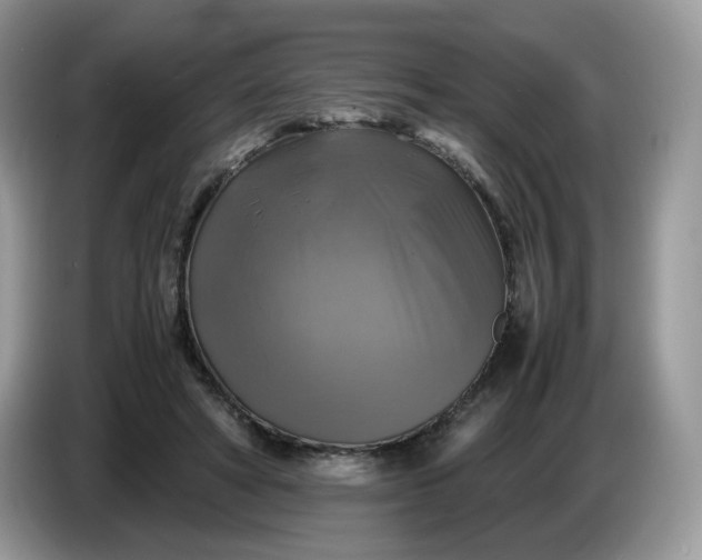 X0000086760402200704271734