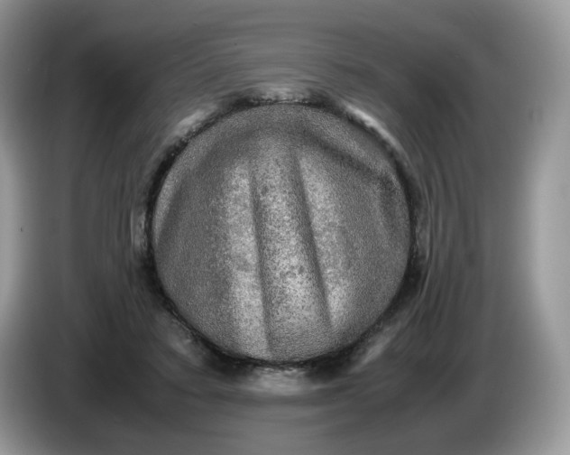 X0000086760403200704271734