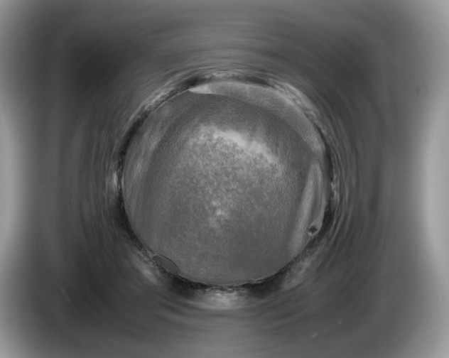 X0000086760405200704271734