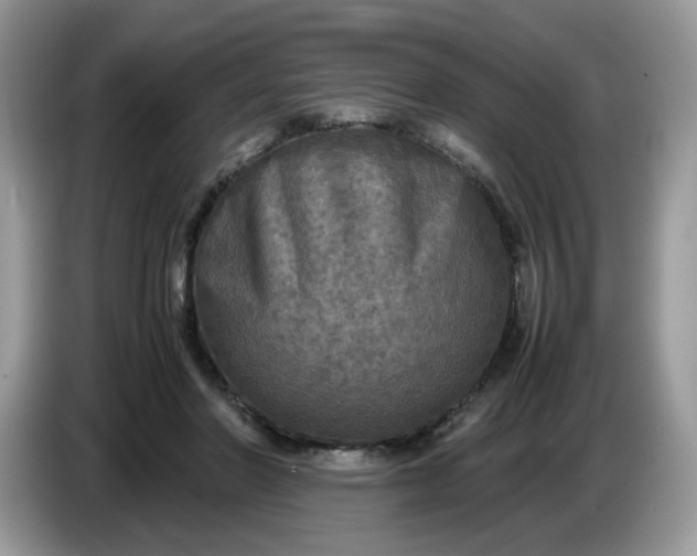 X0000086760406200704271734