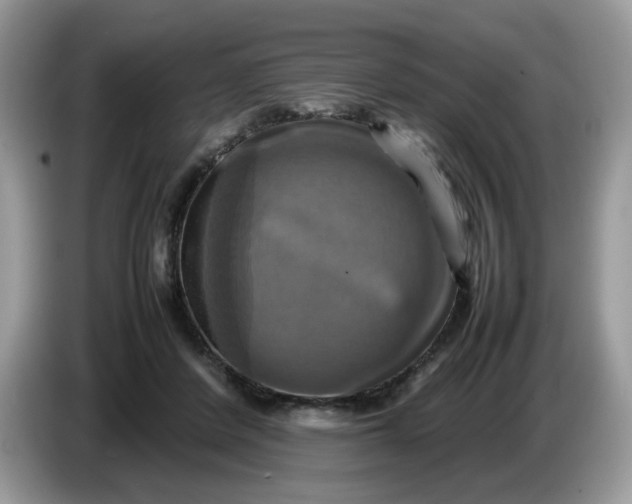 X0000086760408200704271734