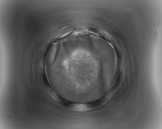 X0000086760409200704271734