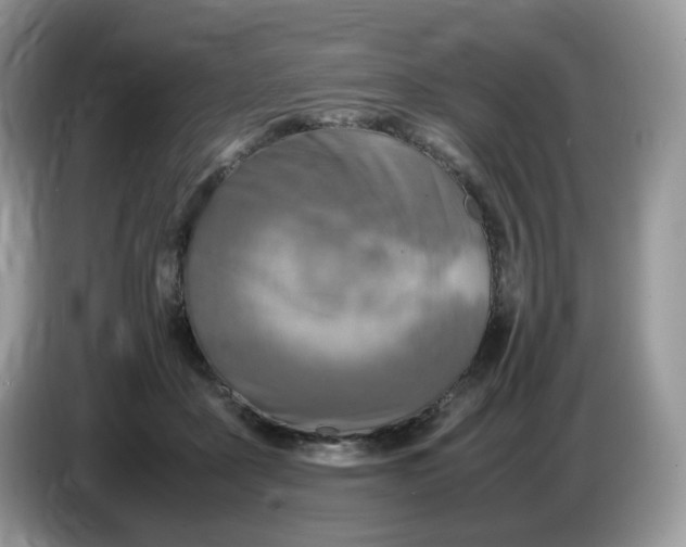 X0000086760411200704271734