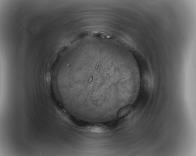 X0000086760412200704271734