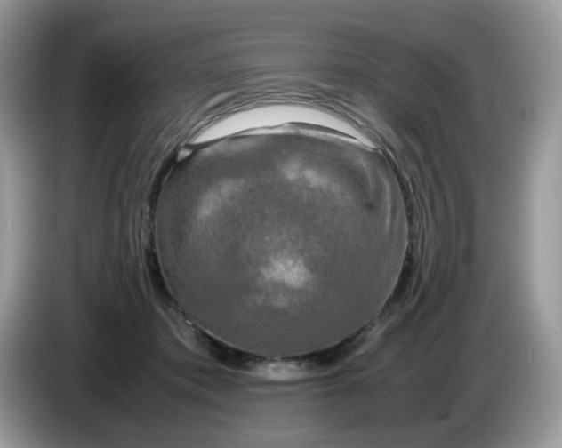 X0000086760413200704271734