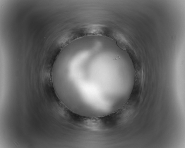 X0000086760415200704271734