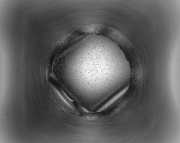 X0000086760416200704271734