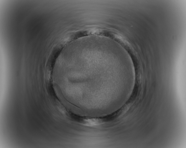 X0000086760417200704271734