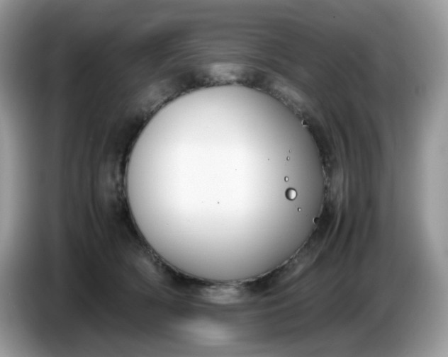 X0000086760418200704271734