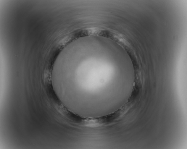 X0000086760419200704271734