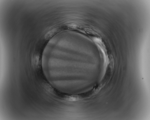 X0000086760420200704271734