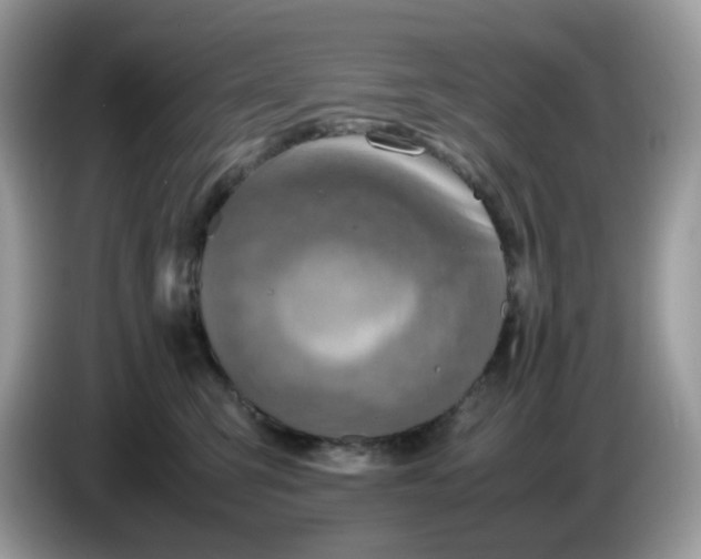 X0000086760423200704271734