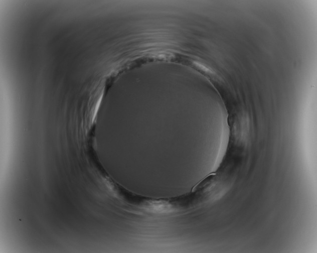 X0000086760424200704271734