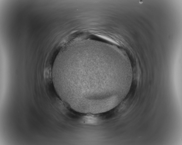 X0000086760425200704271734