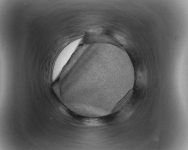 X0000086760428200704271734