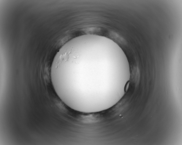 X0000086760430200704271734