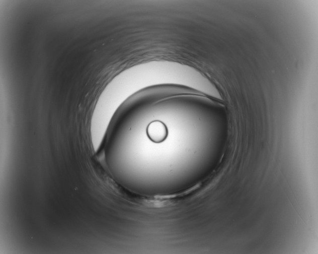 X0000086760432200704271734