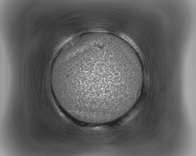 X0000086760433200704271733