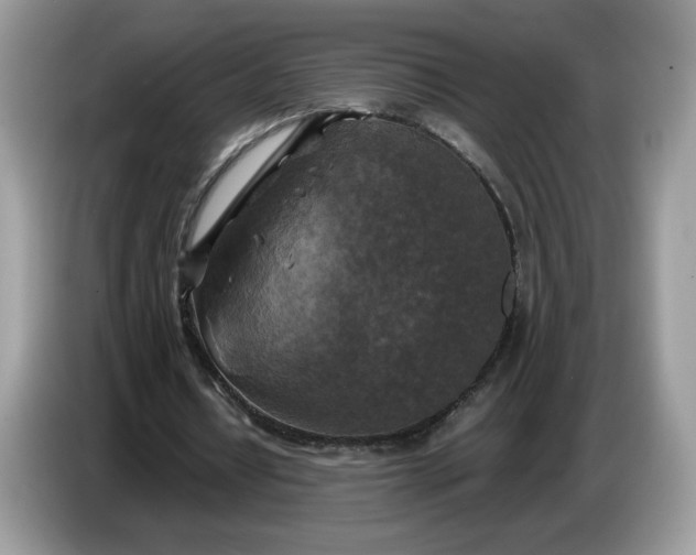 X0000086760434200704271733