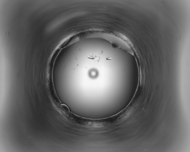 X0000086760435200704271733