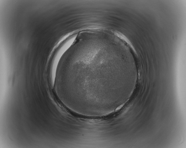 X0000086760436200704271733