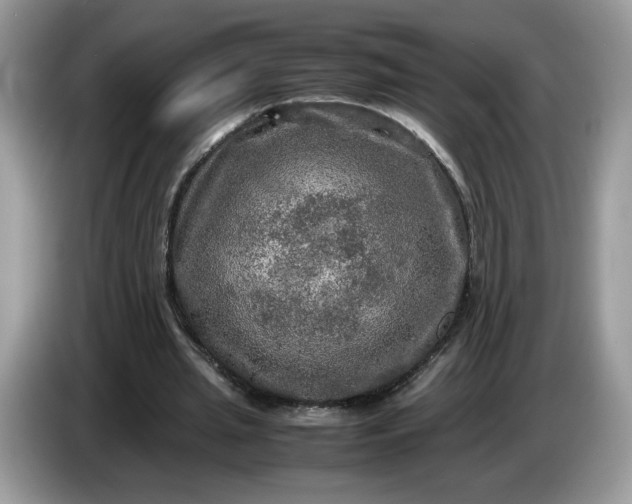 X0000086760437200704271733